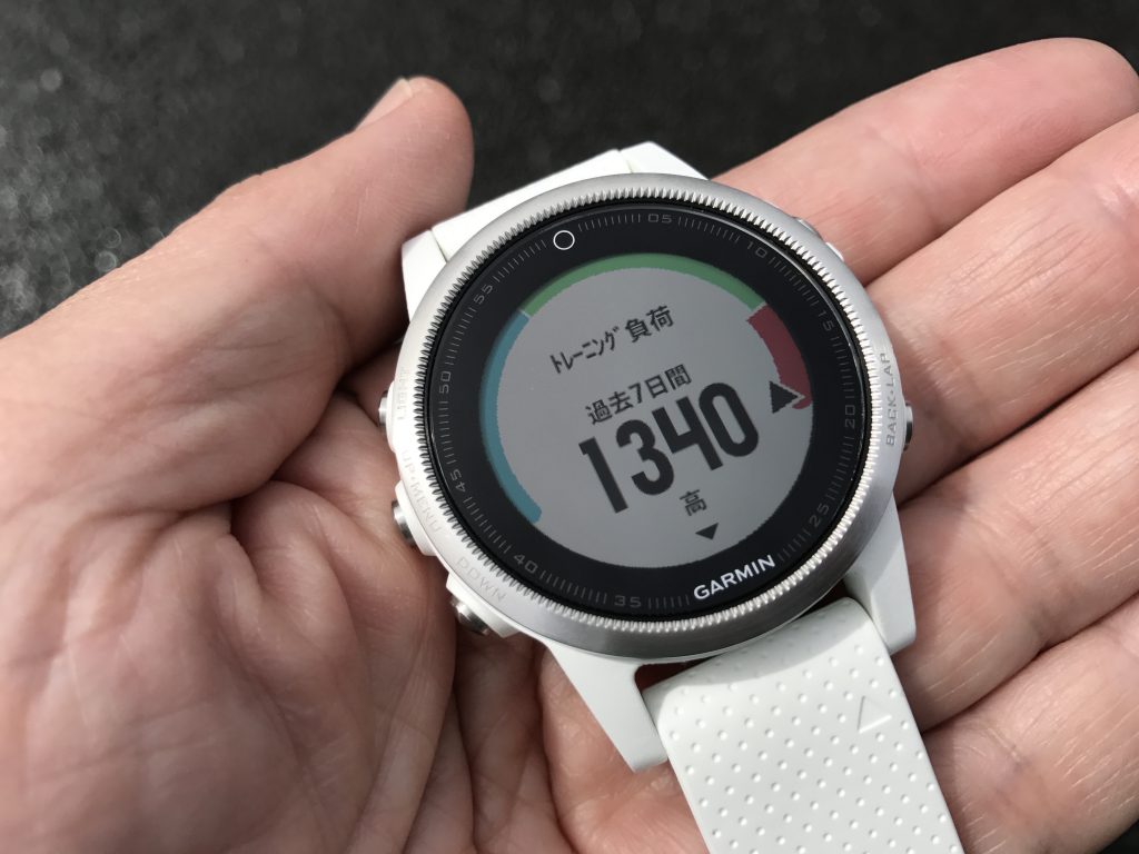 fenix 3s