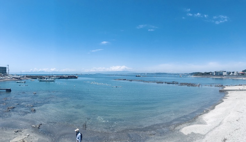 湘南の海が南国のビーチのようにきれいな本当の理由 Pressports