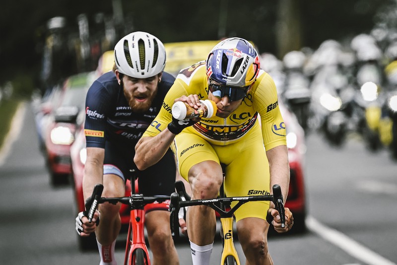Le Tour de France ツールドフランス マイヨジョンヌ ぬいぐるみ